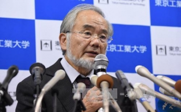 Giải Nobel y sinh học 2016: Phảng phất ý niệm "vô thường"
